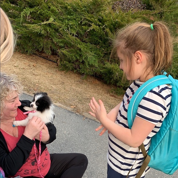 Meet your Posher, Donna - Picture 1 of 1